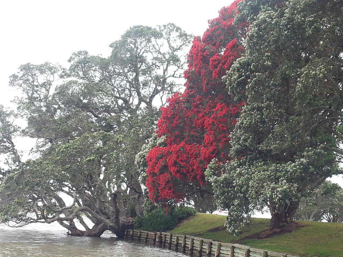 Athenree Hot Springs & Holiday Park Waihi Exterior foto