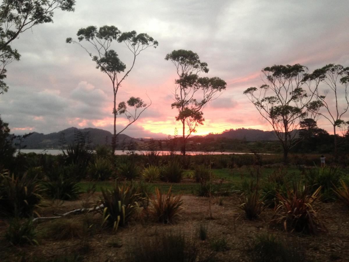 Athenree Hot Springs & Holiday Park Waihi Exterior foto